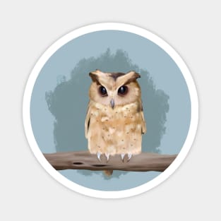 Cute Little Owl - Dusty Blue Magnet